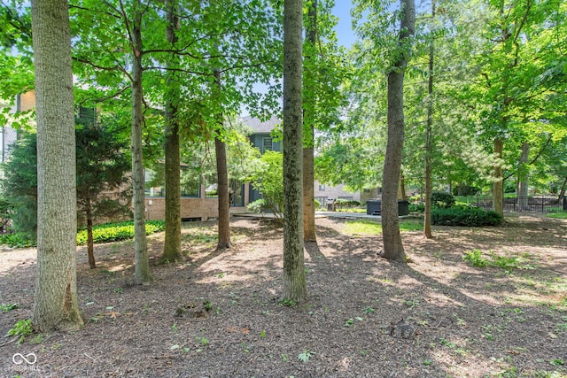 11266 Old Stone Dr, Indianapolis, IN 46236 - view of yard