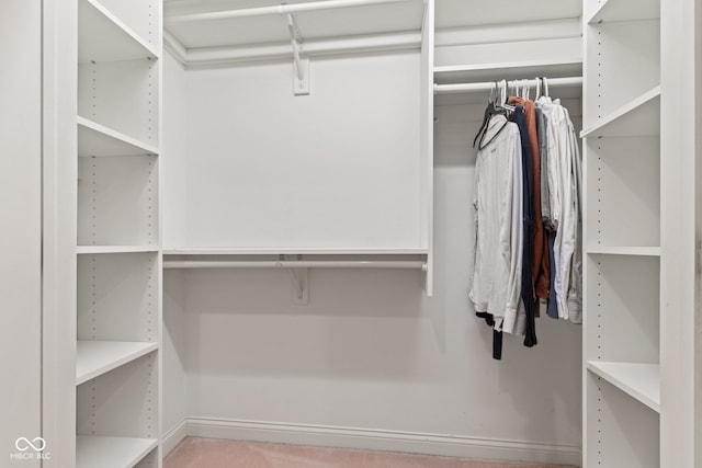 11266 Old Stone Dr, Indianapolis, IN 46236 - view of spacious closet