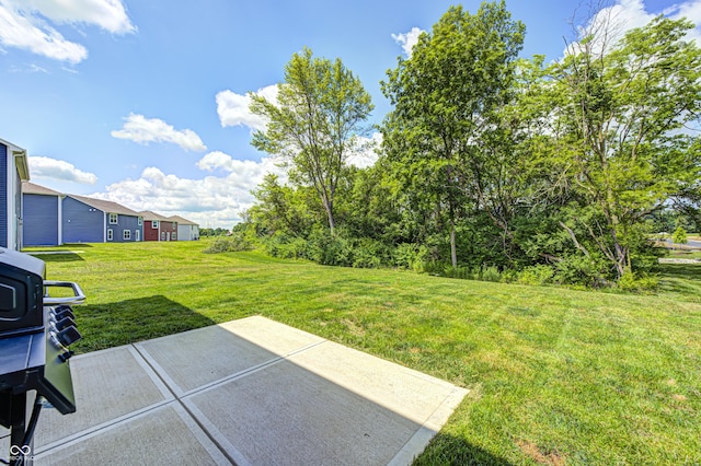 6332 Card Blvd, Indianapolis, IN 46221 - view of grassy yard with a patio