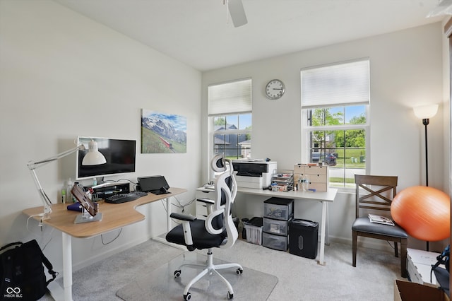 633 Cowley Dr, Westfield, IN 46074 - view of carpeted office space