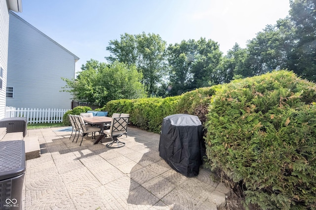 13829 Black Canyon Ct, Fishers, IN 46038 - view of patio with outdoor dining space and grilling area