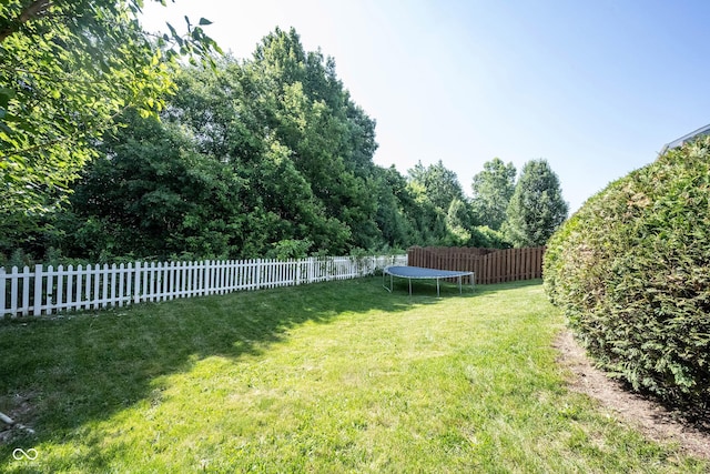 13829 Black Canyon Ct, Fishers, IN 46038 - fenced backyard with a trampoline