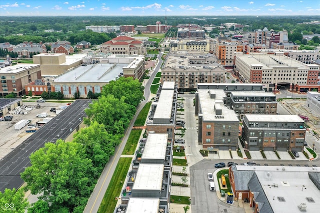 906 Berkhamsted Ln, Carmel, IN 46032 - view of urban area