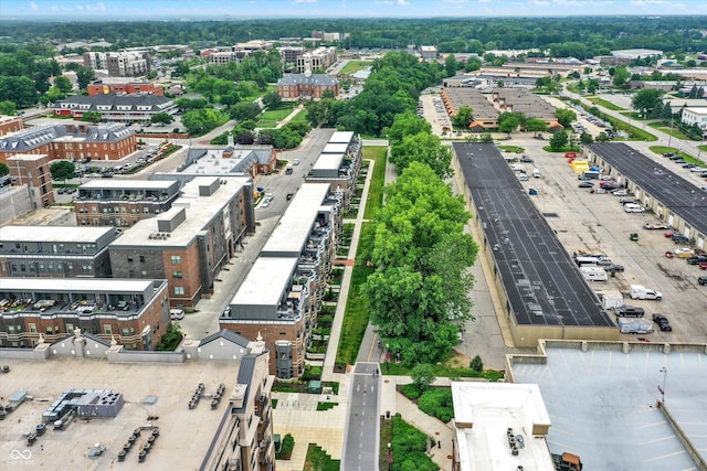 906 Berkhamsted Ln, Carmel, IN 46032 - drone / aerial view