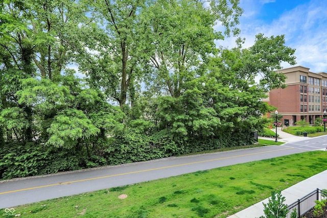 906 Berkhamsted Ln, Carmel, IN 46032 - view of asphalt street