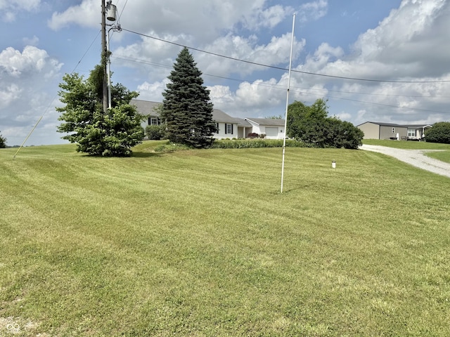 1687 Killion Ave, Seymour, IN 47274 - view of green lawn
