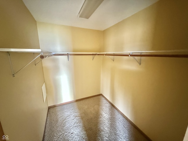 1687 Killion Ave, Seymour, IN 47274 - view of spacious closet