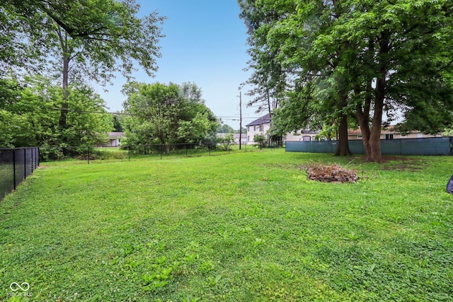3921 S Lasalle St, Indianapolis, IN 46237 - view of yard
