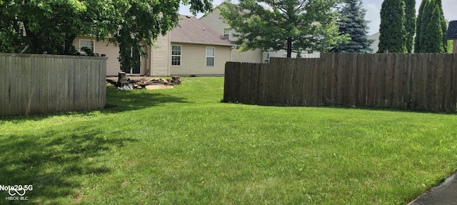 403 Bagley Ln, Indianapolis, IN 46231 - view of yard