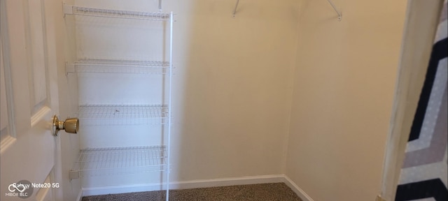 403 Bagley Ln, Indianapolis, IN 46231 - view of walk in closet