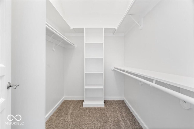 12208 Island Dr, Indianapolis, IN 46256 - spacious closet featuring carpet flooring