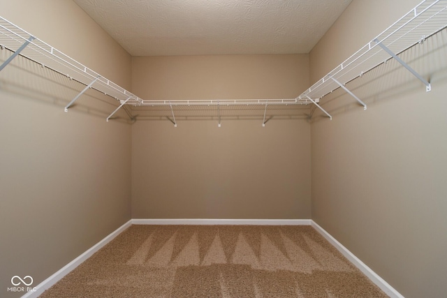6610 Aberdeen Dr, Mccordsville, IN 46055 - spacious closet featuring carpet floors