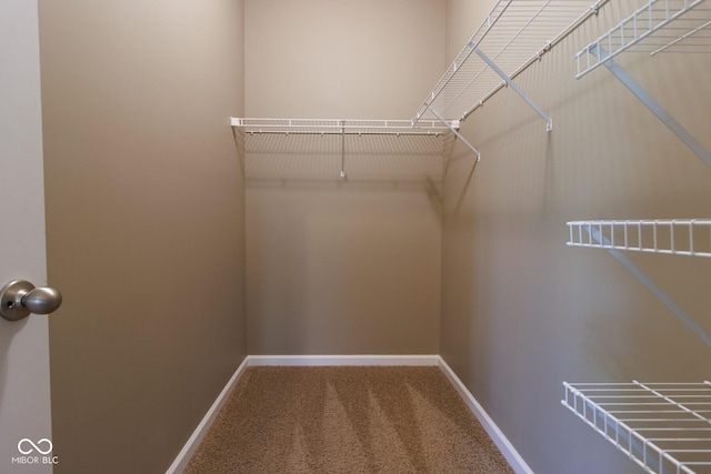 6610 Aberdeen Dr, Mccordsville, IN 46055 - spacious closet with carpet flooring