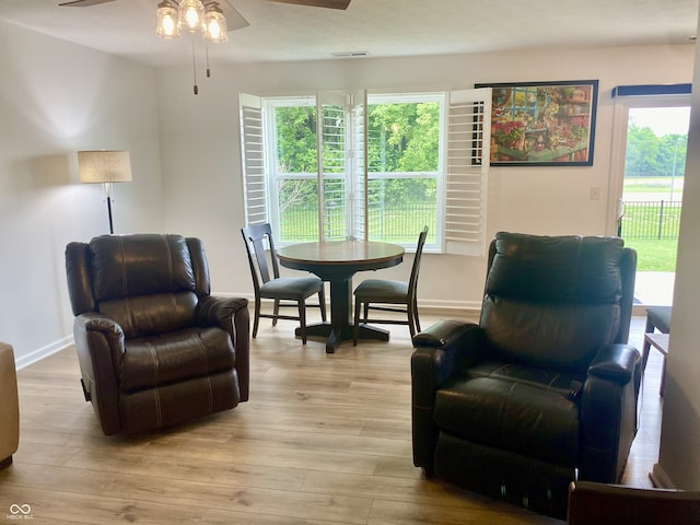 213 Drewood Dr, Trafalgar, IN 46181 - living room with ceiling fan, healthy amount of natural light, and light wood finished floors