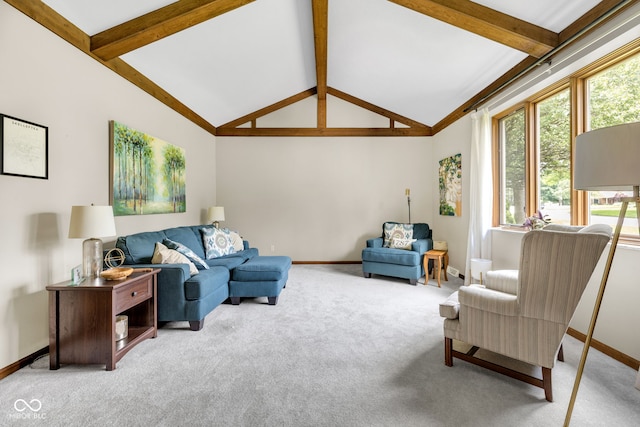 8525 Winding Ridge Rd, Indianapolis, IN 46217 - carpeted living area with plenty of natural light