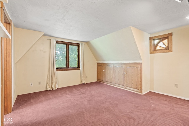 396 W 500 S, Anderson, IN 46013 - additional living space with dark colored carpet, a textured ceiling, and lofted ceiling