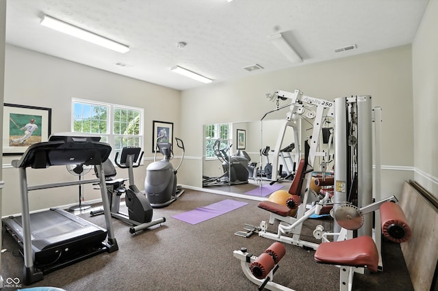 5003 Opal Ridge Ln Unit 101, Indianapolis, IN 46237 - view of workout area