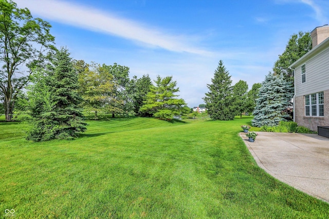 3345 Kilkenny Cir, Carmel, IN 46032 - view of green lawn featuring a patio
