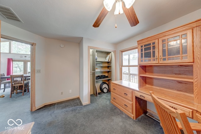 8635 S Providence Dr, Nineveh, IN 46164 - office space with dark colored carpet and ceiling fan