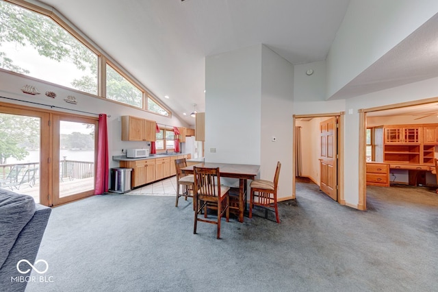8635 S Providence Dr, Nineveh, IN 46164 - dining space featuring light carpet and high vaulted ceiling