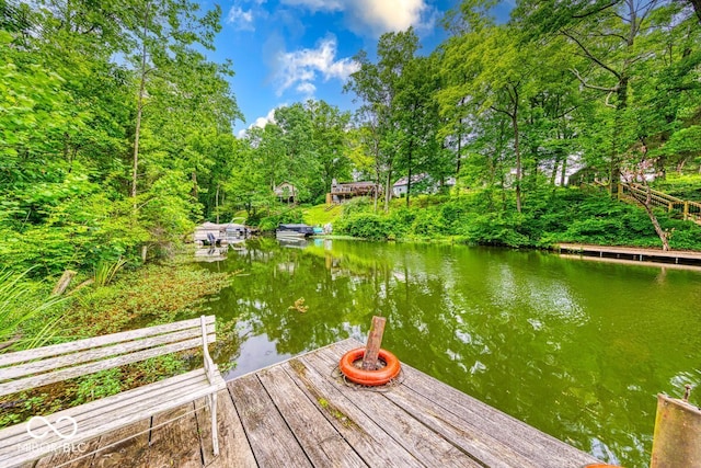 8635 S Providence Dr, Nineveh, IN 46164 - dock area featuring a water view and view of scattered trees