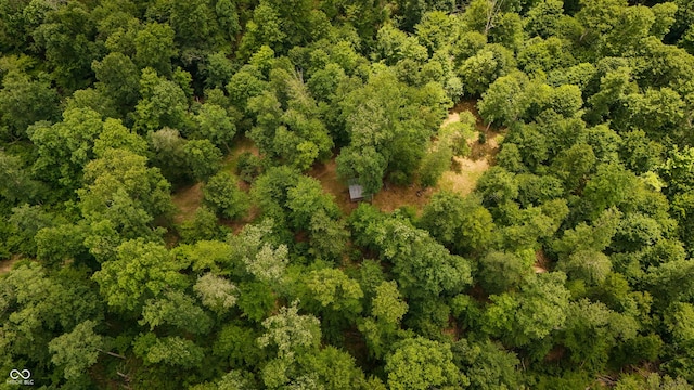 8009 Rinnie Seitz Rd, Nashville, IN 47448 - photo 78