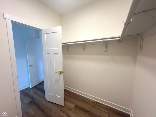 4726 Deacon Ln, Indianapolis, IN 46237 - walk in closet featuring dark wood-style flooring