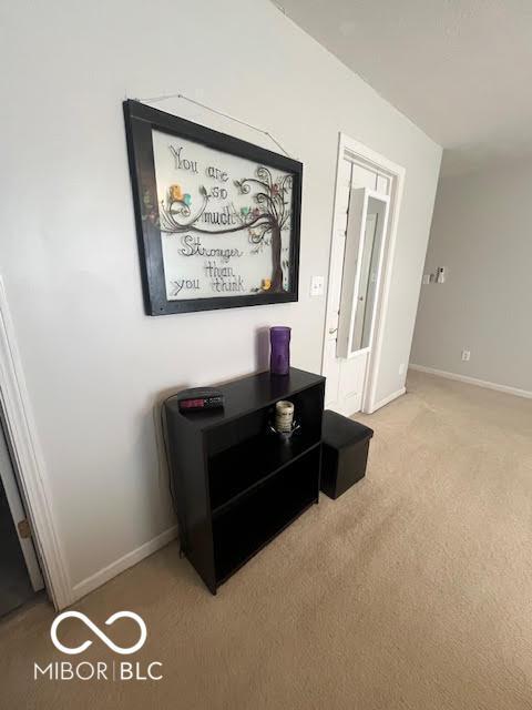 2231 Abbey St, Brownsburg, IN 46112 - detailed view of carpet floors and baseboards