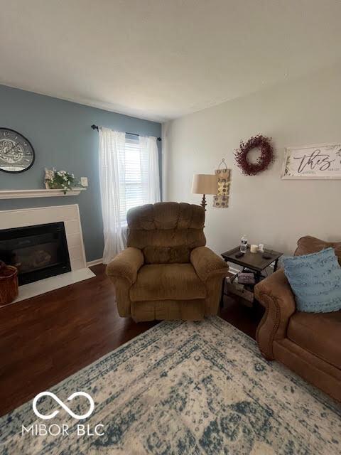 2231 Abbey St, Brownsburg, IN 46112 - living room featuring wood finished floors and a glass covered fireplace