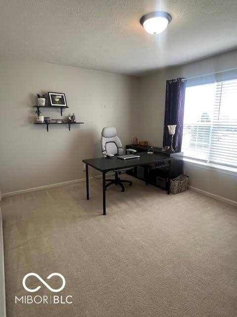 2231 Abbey St, Brownsburg, IN 46112 - home office with carpet and a textured ceiling