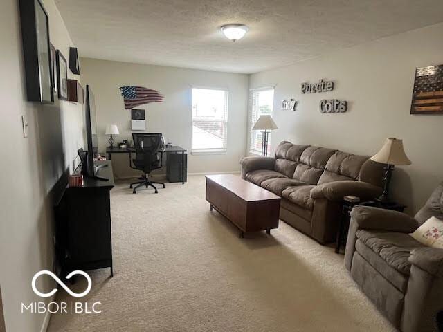 2231 Abbey St, Brownsburg, IN 46112 - living area featuring light colored carpet, an office area, and a textured ceiling