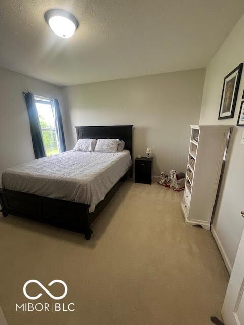 2231 Abbey St, Brownsburg, IN 46112 - bedroom with light colored carpet and baseboards