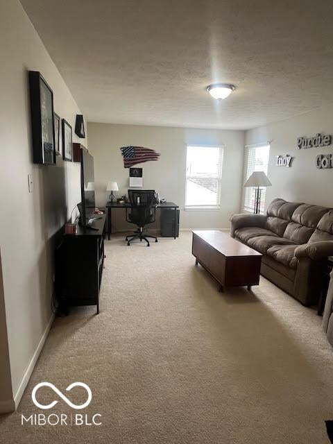 2231 Abbey St, Brownsburg, IN 46112 - living area featuring light colored carpet, a desk, and a textured ceiling