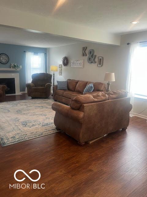 2231 Abbey St, Brownsburg, IN 46112 - living room featuring dark wood-style flooring and a fireplace with flush hearth