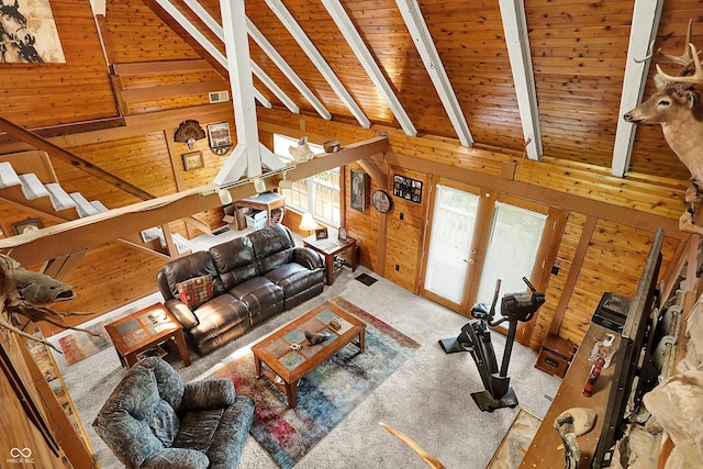 1155 Cope Rd, Martinsville, IN 46151 - living area with wooden walls, wood ceiling, and carpet