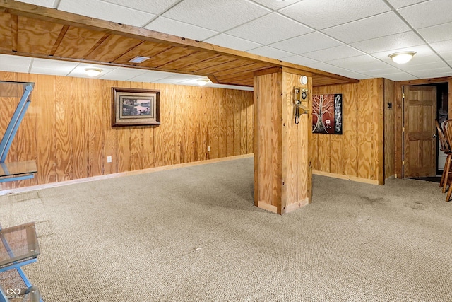 1155 Cope Rd, Martinsville, IN 46151 - finished basement with carpet floors and wood walls