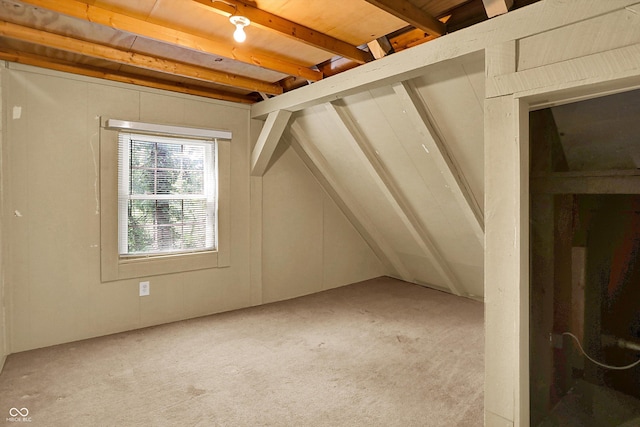 1155 Cope Rd, Martinsville, IN 46151 - bonus room with light carpet and vaulted ceiling