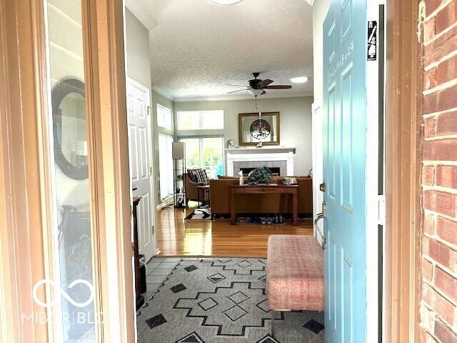 5240 Windridge Dr, Indianapolis, IN 46226 - photo 8