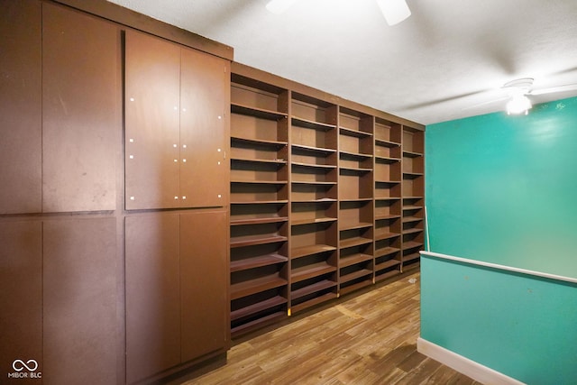 13041 S Finer St, Pimento, IN 47866 - spacious closet with light wood finished floors