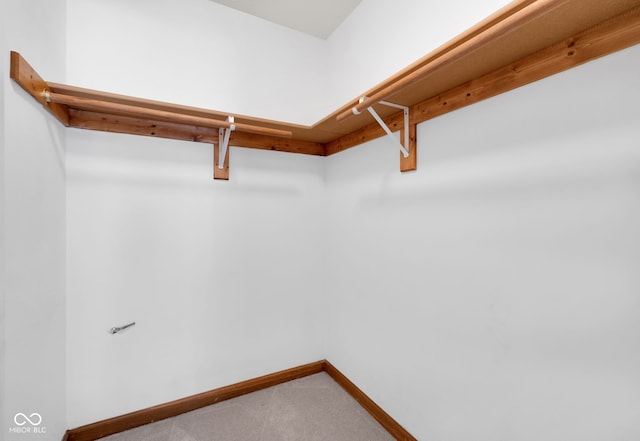 9735 Woodsong Ln, Indianapolis, IN 46229 - walk in closet with carpet