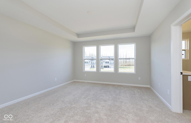 9737 Oleander Dr, Fishers, IN 46250 - spare room with plenty of natural light, light carpet, and a raised ceiling