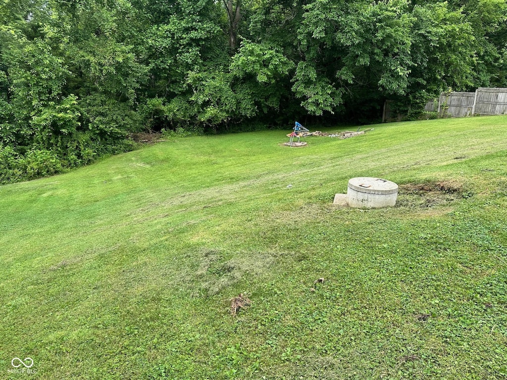1165 Freeman Rd, Spencer, IN 47460 - view of yard