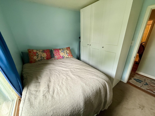 1816 Hemlock Ln, Plainfield, IN 46168 - bedroom featuring a closet and carpet flooring