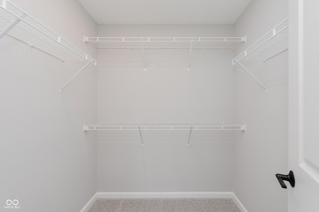 9751 Behner Dr, Fishers, IN 46250 - spacious closet with carpet floors