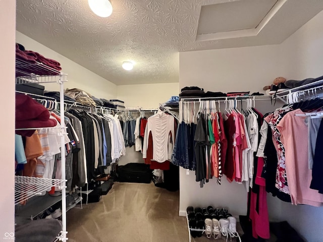 13859 Keams Dr, Fishers, IN 46038 - spacious closet with attic access and carpet floors