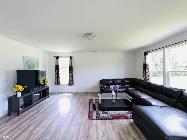 980 S Raylee Garden Dr, New Palestine, IN 46163 - living room with wood finished floors and baseboards