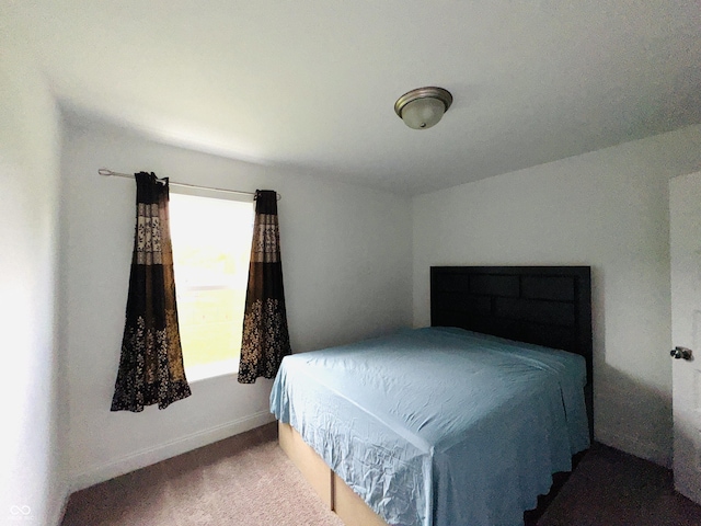 980 S Raylee Garden Dr, New Palestine, IN 46163 - bedroom with baseboards and carpet