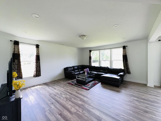 980 S Raylee Garden Dr, New Palestine, IN 46163 - living room featuring wood finished floors and recessed lighting