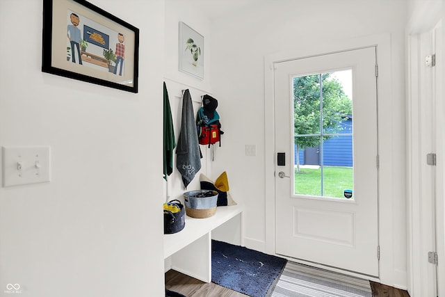 2720 Guilford Ave, Indianapolis, IN 46205 - mudroom featuring plenty of natural light and wood finished floors