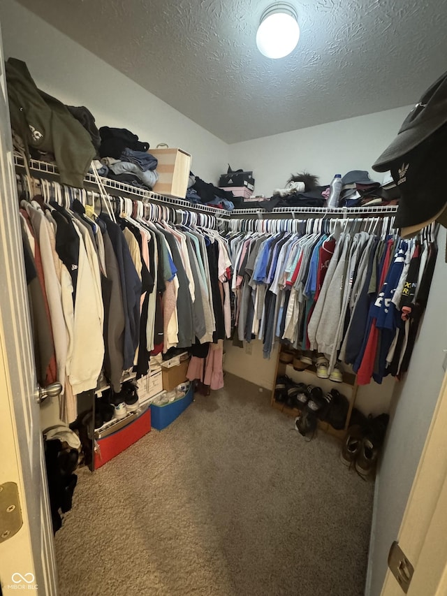 6027 Moonseed Cir, Indianapolis, IN 46203 - spacious closet with carpet flooring